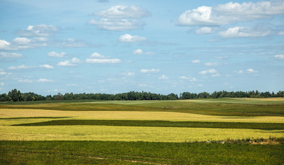 Fototapeta premium Lithuanian landscape
