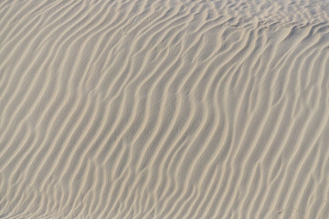 Fototapeta na wymiar Wave in the sand on the beach
