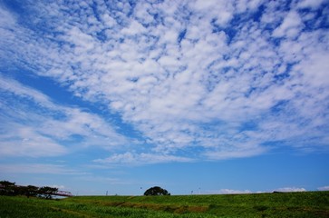 Obraz premium Scenery of the river side