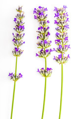 Obraz premium Bouquet of flowers and lavender seeds on white background, isolated.