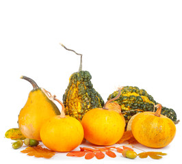 Large pile of ripe  pumpkins with foliage on white isolated background
