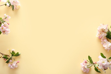 Fototapeta premium Beautiful blossoming branches on color background