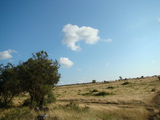 Фотография природы