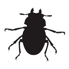  insect, beetle silhouette