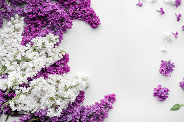 Composition with blossoming lilac on white background