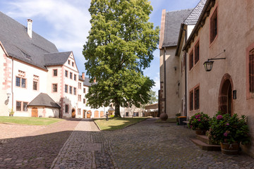 Fototapeta na wymiar Burg Mildenstein, Leisnig in Sachsen