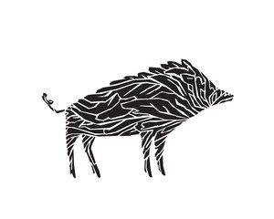 Vector boar illustration isolated on white