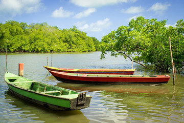 Obraz premium Barra de Mamanguape - Paraíba - Brazil