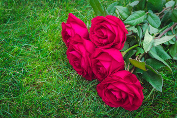 Bouquet of flowers rose on a background of green grass, holiday concept, valentine's day with copy space