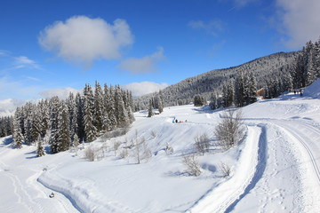Fototapeta na wymiar A beautiful winter landscape of snow-covered forest in the French Alps.