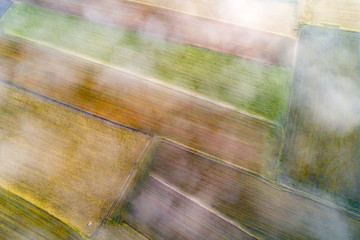 Flying on Castelluccio di Norcia, between ruins and bloom of flowers
