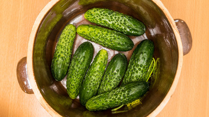 Making pickled cucumbers in clay jar