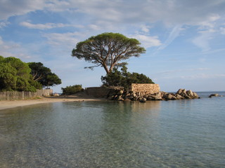 Palombaggia Beach - Corsica - France
