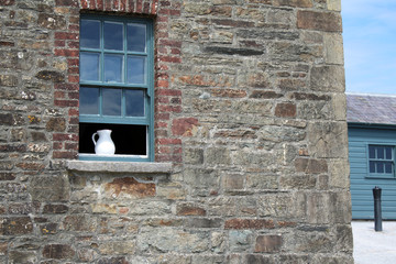Water pitcher in the window of an old stone building