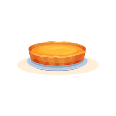Pumpkin pie, traditional thanksgiving pie vector Illustration on a white background