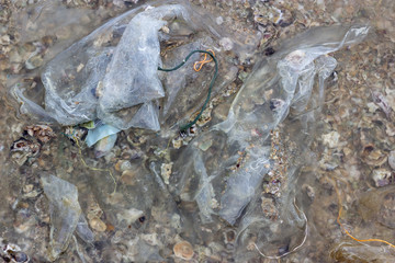 Plastic pollution environmental problem in ocean.,Enviromental Pollution in the beach,Plastic bottles and other garbage washes up on beach