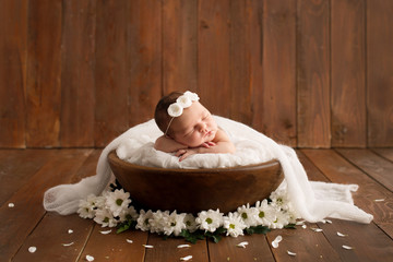 Newborn girl on a brown background with daisy flowers. Photoshoot for the newborn. 7 days from...