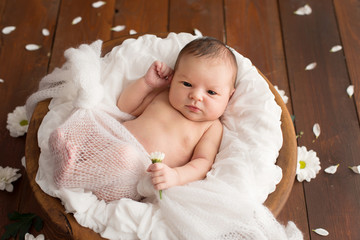 Newborn girl on a brown background with daisy flowers. Photoshoot for the newborn. 7 days from...