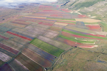 Flying on Castelluccio di Norcia, between ruins and bloom of flowers
