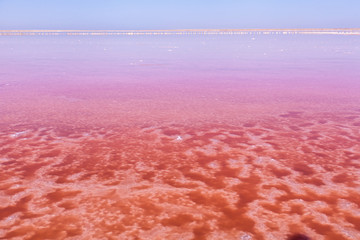 Fototapeta premium Pink salt lake