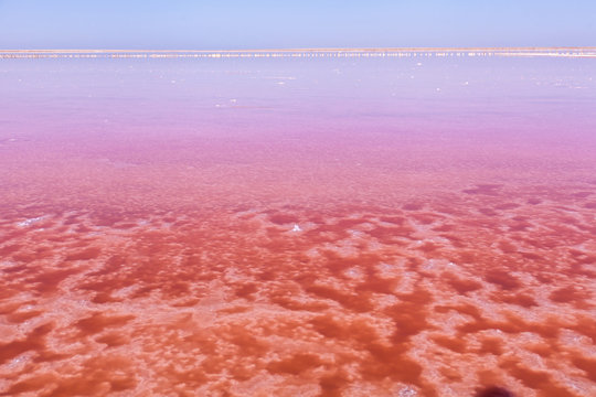 Pink salt lake