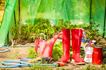 Gardening tools outdoor in garden
