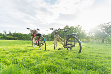 Obraz premium Bicycle on green grass at public park.