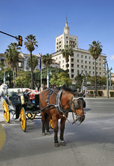Fototapeta na wymiar Horse carriage at Marina Square in Malaga. Spain