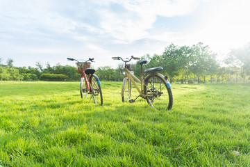 Bicycle on green grass at public park.