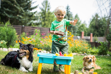 mit den Hunden im Garten spielen