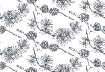 Vector background with hand drawn conifers trees in sketch style.