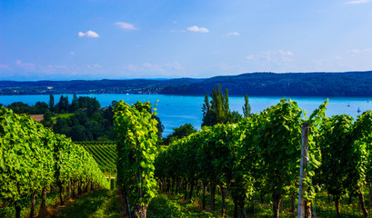 Lake of Constance