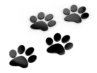 Trail of paw prints, 3d illustration