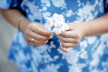 Closeup of pregnant woman holding flower and touching her belly