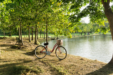 Fototapeta premium Red bicycle at beautiful public park in the evening.
