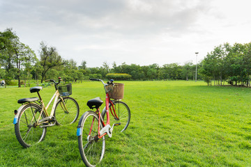 Fototapeta premium Bicycle on green grass at public park.