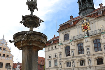 Obraz premium Lüneburg town hall, Germany.