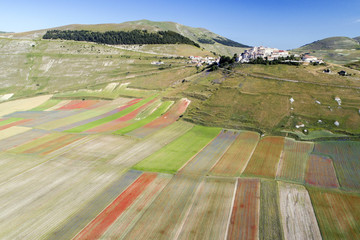 Flying on Castelluccio di Norcia, between ruins and bloom of flowers
