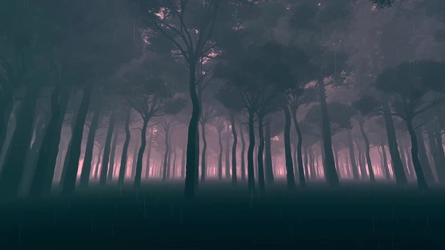 Rain in the Dark Forest