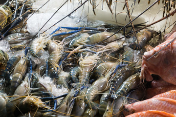 Fresh raw shrimp in night market, Thailand.
