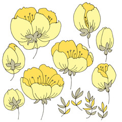 Tender elegant simple rose flower elements set.