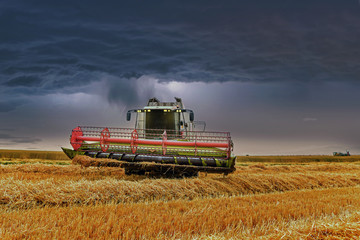 finir la moisson avant l'orage