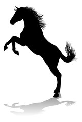 Horse Silhouette Animal