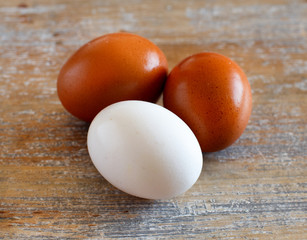 Chicken eggs close up