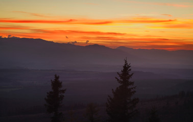 Landscape near Strbske Pleso lake. Slovakia