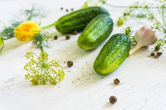 cucumbers, vegetable herbs and spices on a white old wooden table