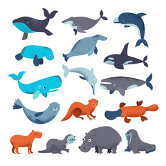 Sea mammal vector water animal character dolphin walrus and whale in sealife or ocean illustration marine set of seal or hippo illustration set isolated on white background