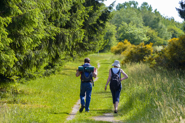 Hiking path in natural reserve of Eifel in Germany as background