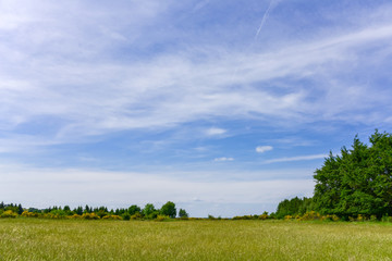 Hiking in natural reserve of Eifel in Germany as background