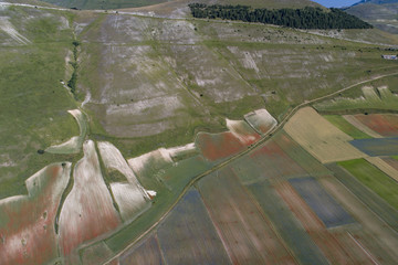 Flying on Castelluccio di Norcia, between ruins and bloom of flowers
